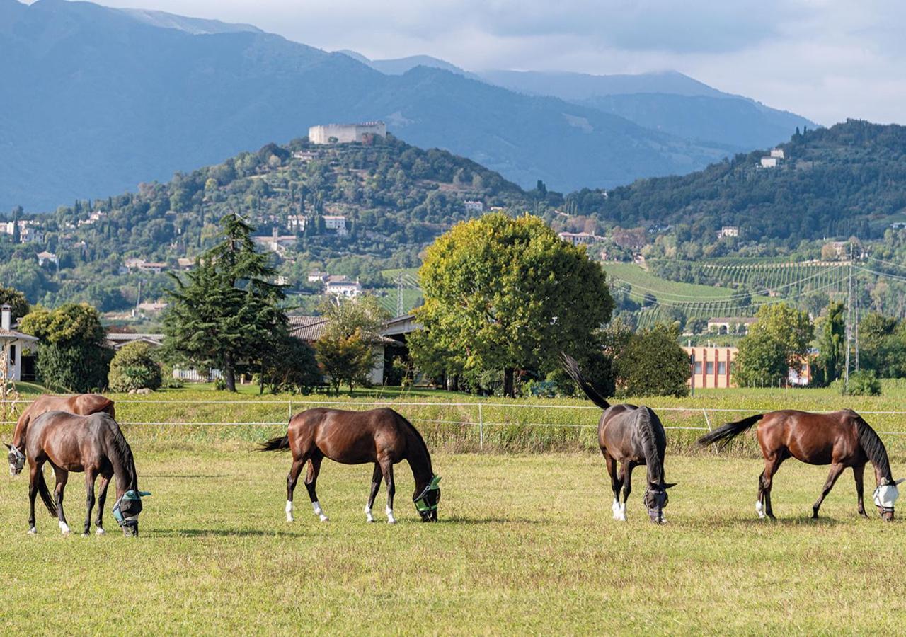 Aparthotel Progress Country & Wine House Asolo Zewnętrze zdjęcie